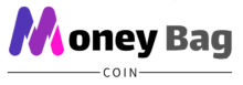 Money Bag Coin